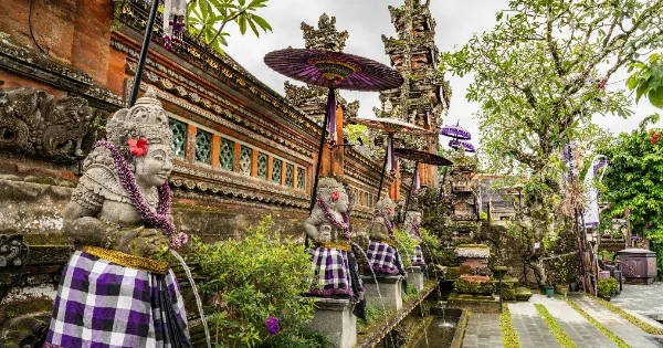 Website Untuk Bisnis dan Brand di Denpasar Bali
