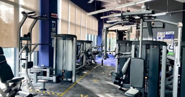 Website Untuk Gym, Futsal, Padel dan Bisnis Olahraga